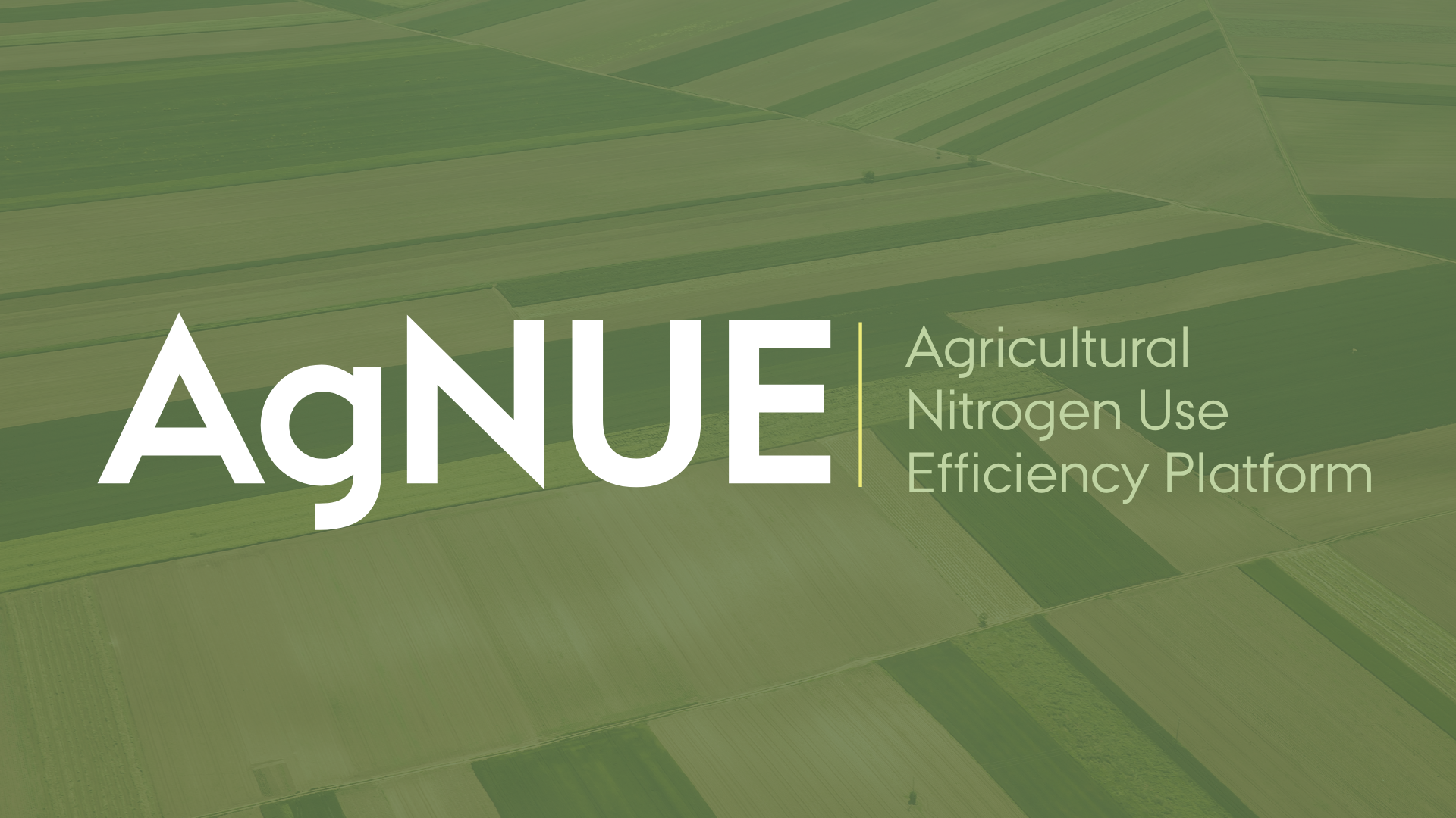 New international research platform to cut agricultural emissions by improving nitrogen use